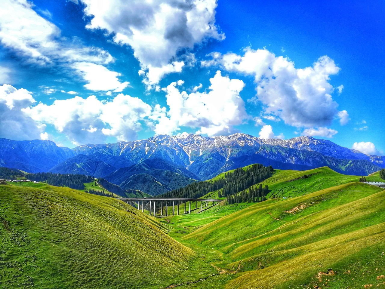 6f7a4595353e4eb5217ee196fc094831.jpg