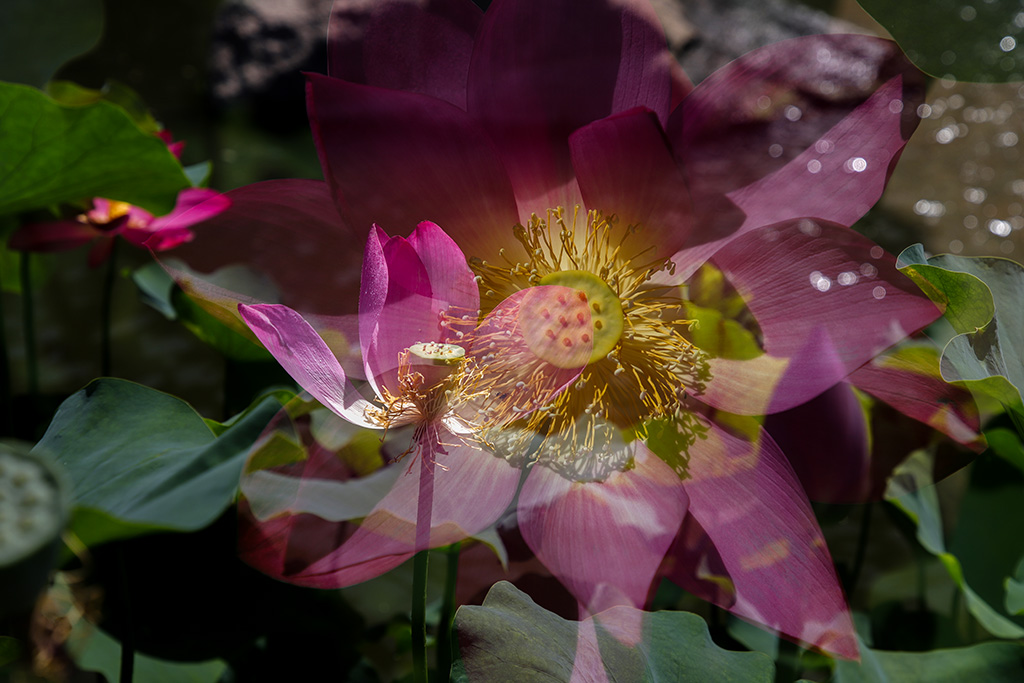 IMG_9071副本.jpg