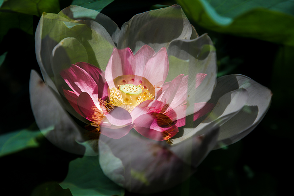 IMG_9072P副本.jpg