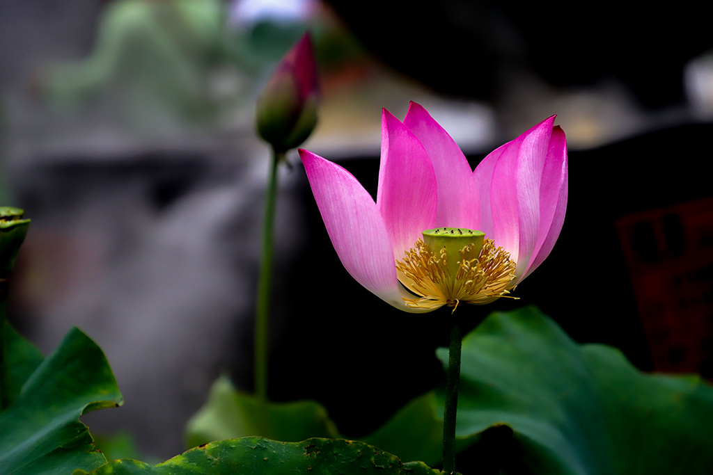 IMG_9194副本.jpg