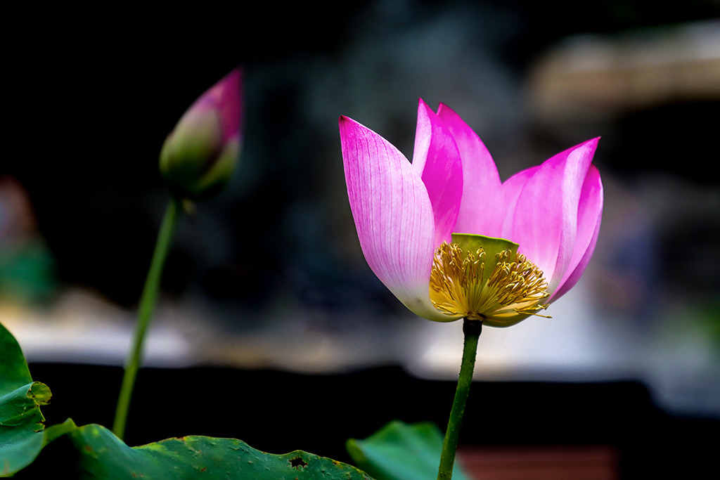 IMG_9196副本.jpg