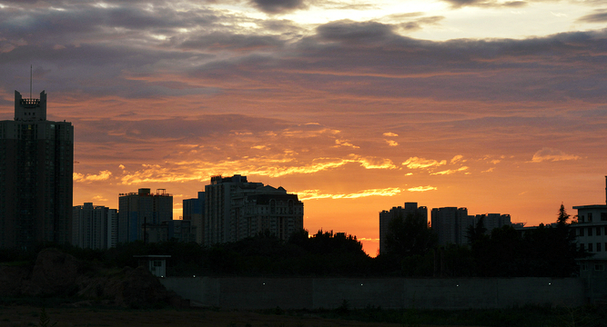 DSC_2555.jpg