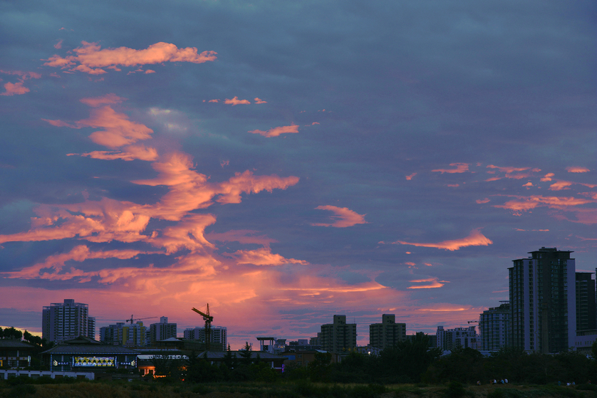 DSC_2568.jpg
