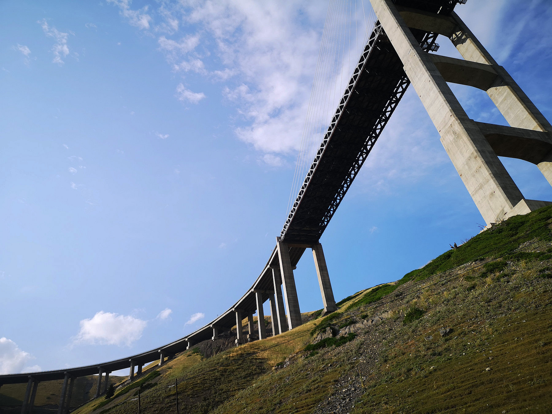 478.jpg