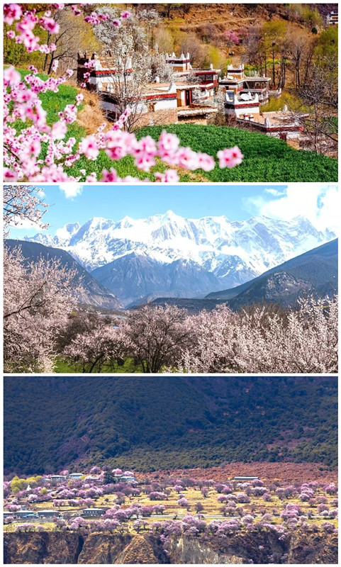 未命名_副本.jpg