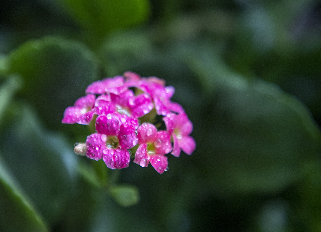 IMG_0773副本.jpg