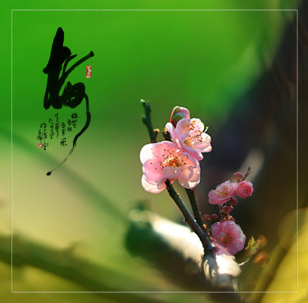 微信图片_20200311104540.png