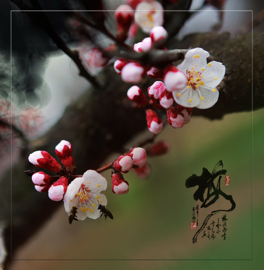 微信图片_20200311104550.png