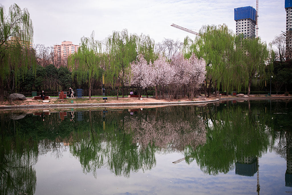 IMG_0842副本.jpg