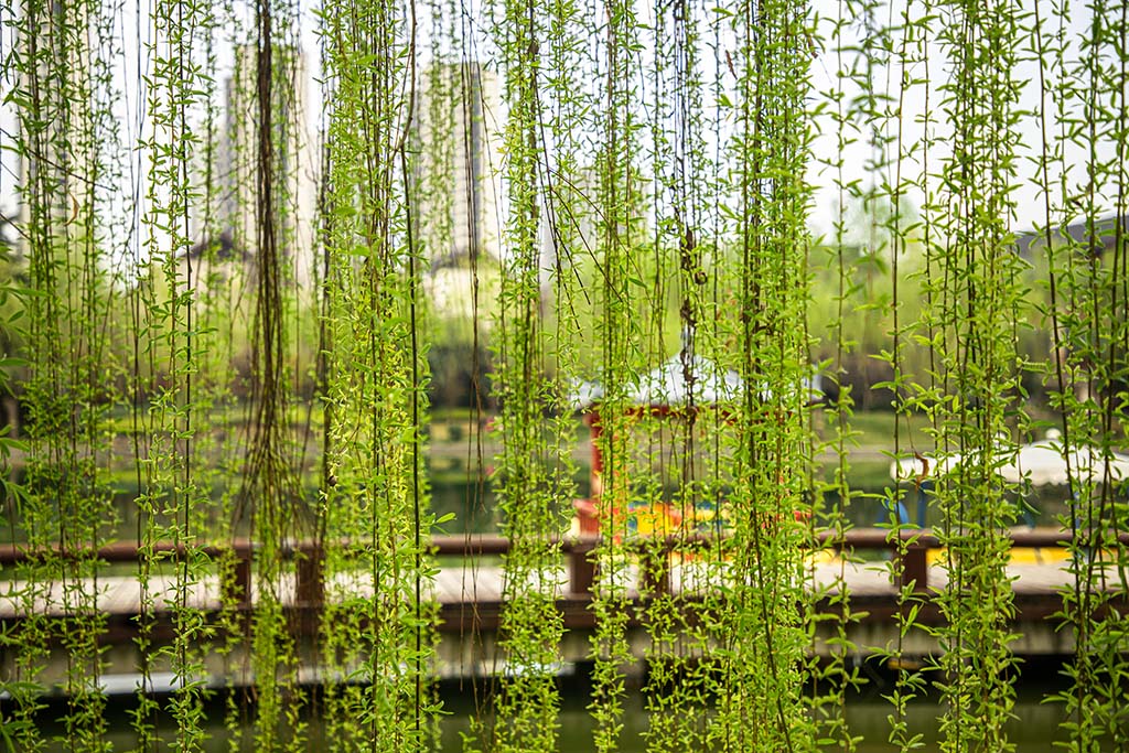 IMG_0858副本.jpg