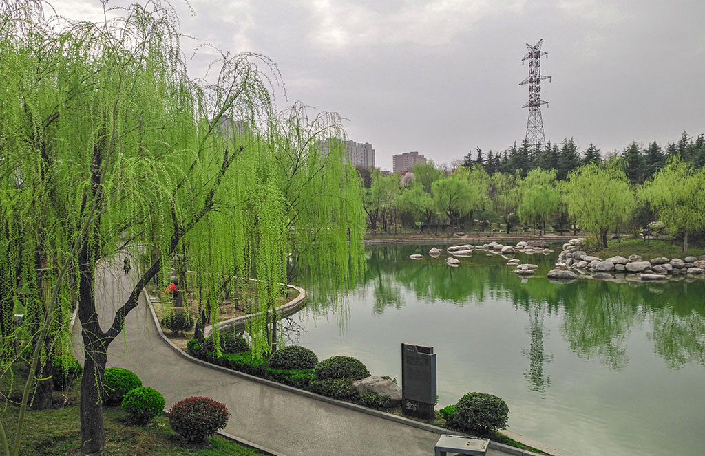 IMG_20200312_162428副本.jpg