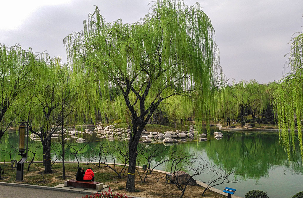 IMG_20200312_162241副本.jpg