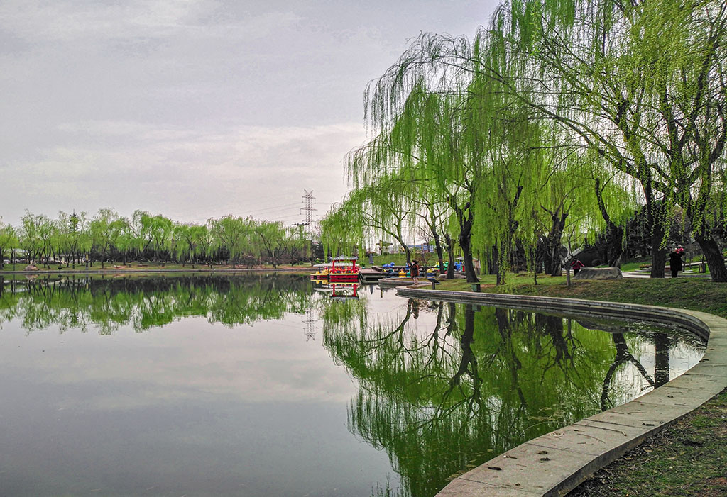 IMG_20200312_162917副本.jpg