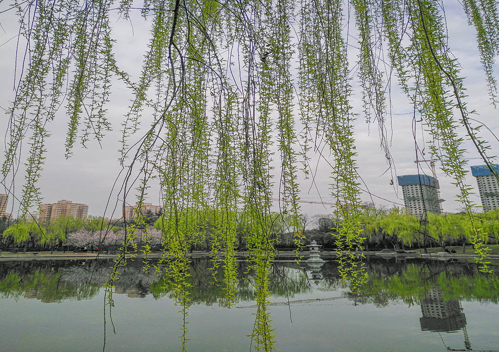 IMG_20200312_165104副本.jpg