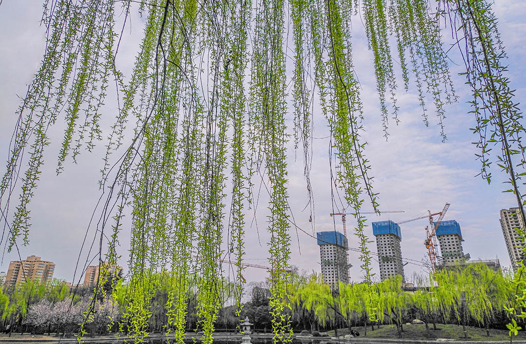 IMG_20200312_165109副本.jpg
