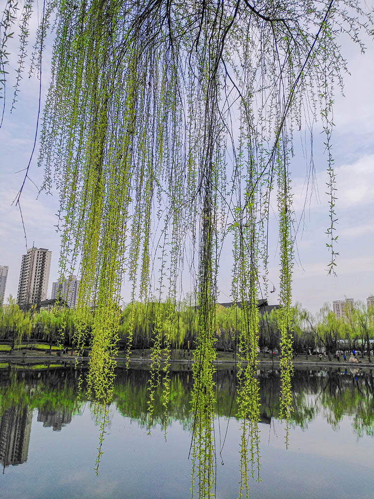 IMG_20200312_165115副本.jpg