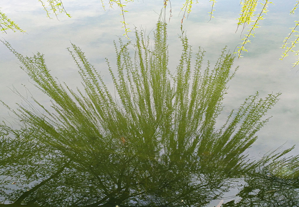 IMG_20200312_165350副本.jpg