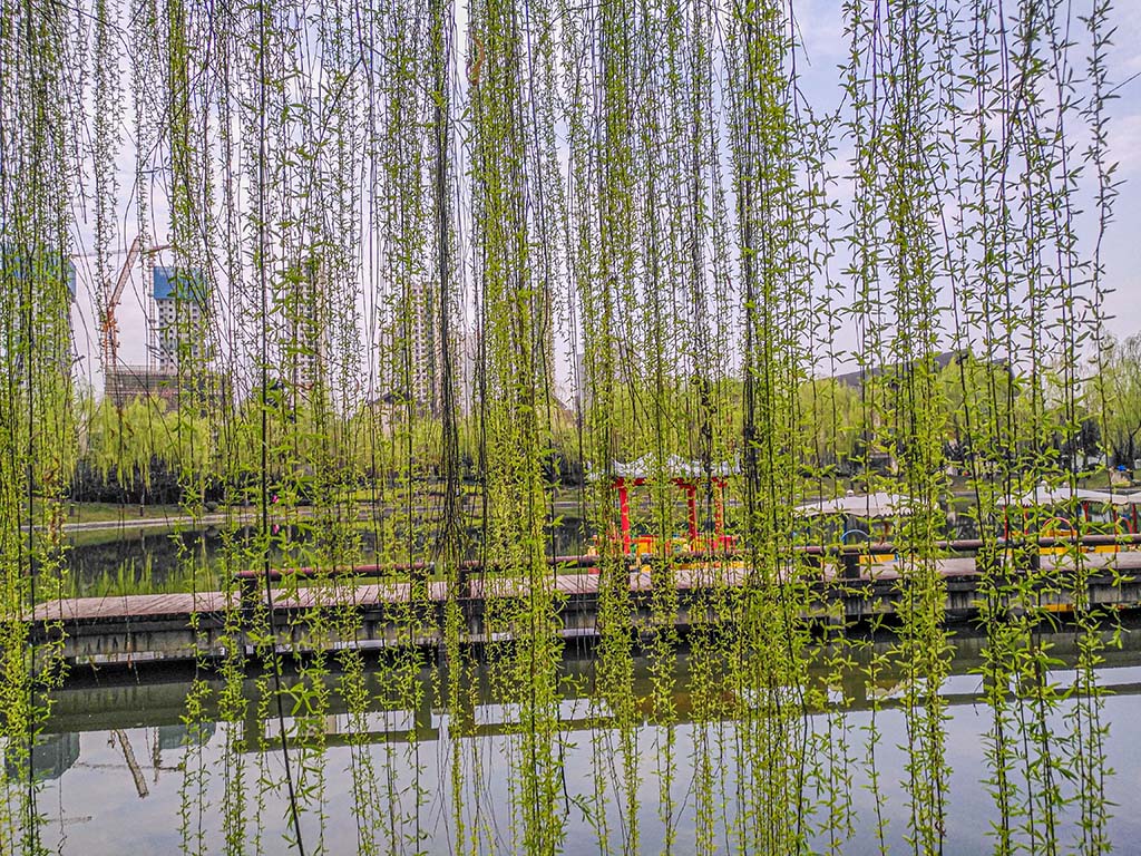 IMG_20200312_165356副本.jpg