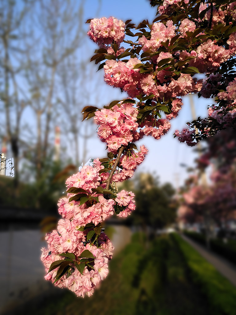 IMG_20200331_175938副本.jpg