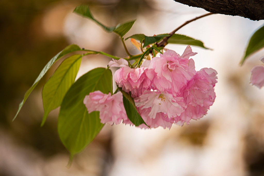 IMG_1057副本.jpg