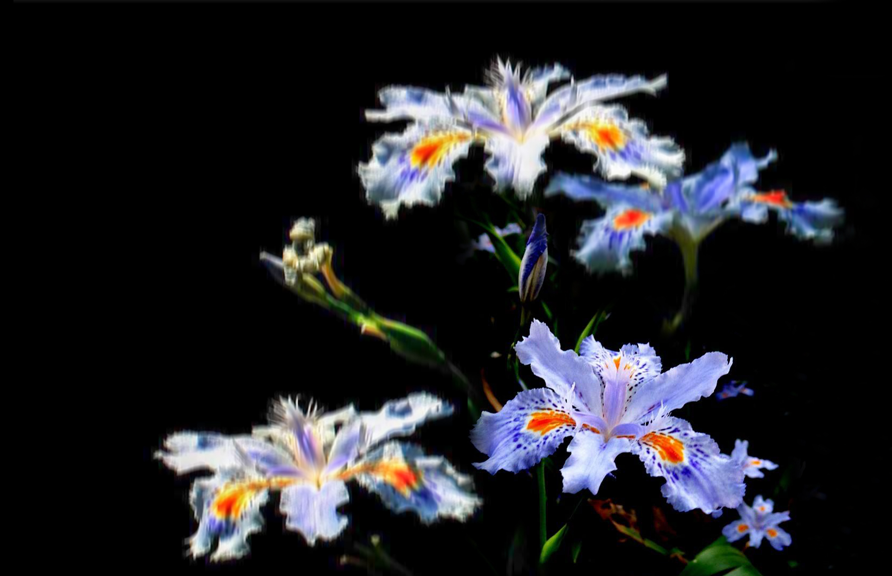 IMGM9055.jpg