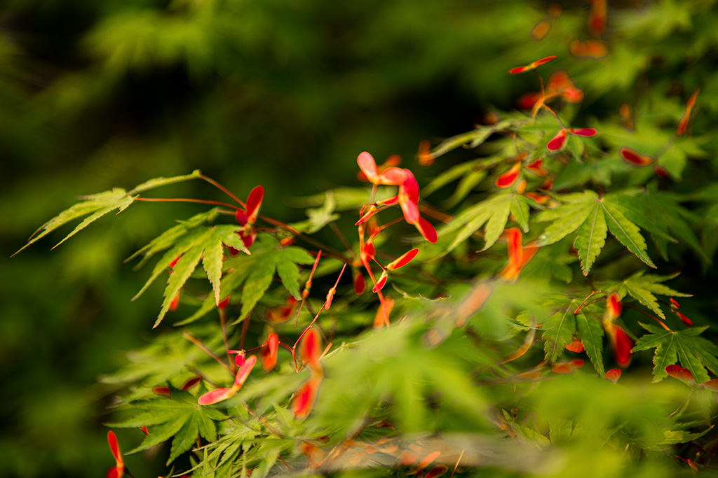 IMG_1141副本.jpg
