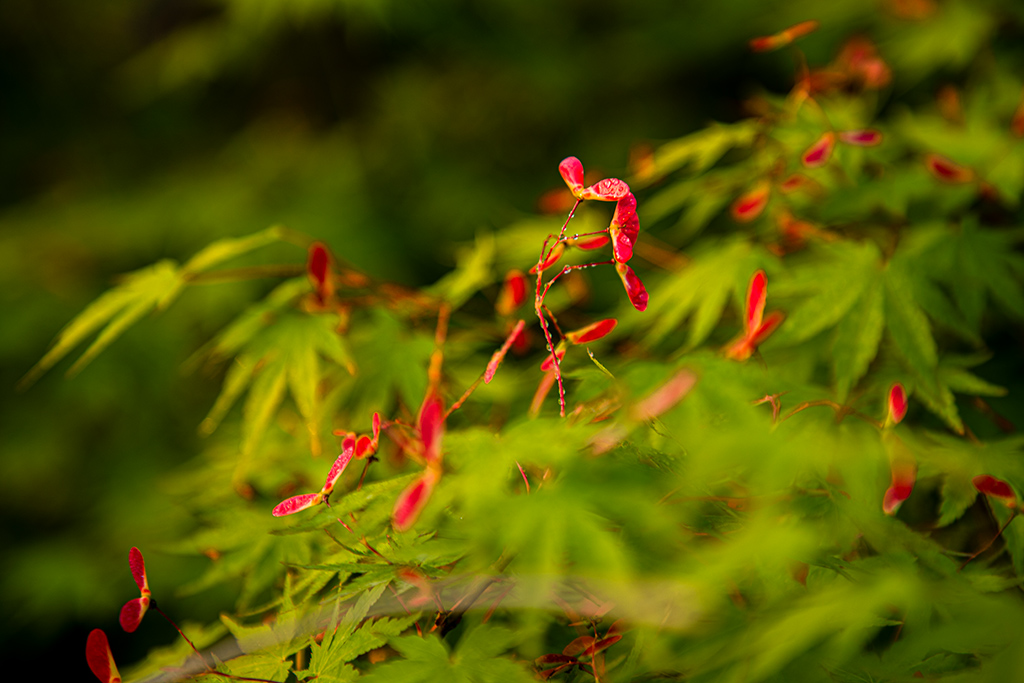 IMG_1142副本.jpg