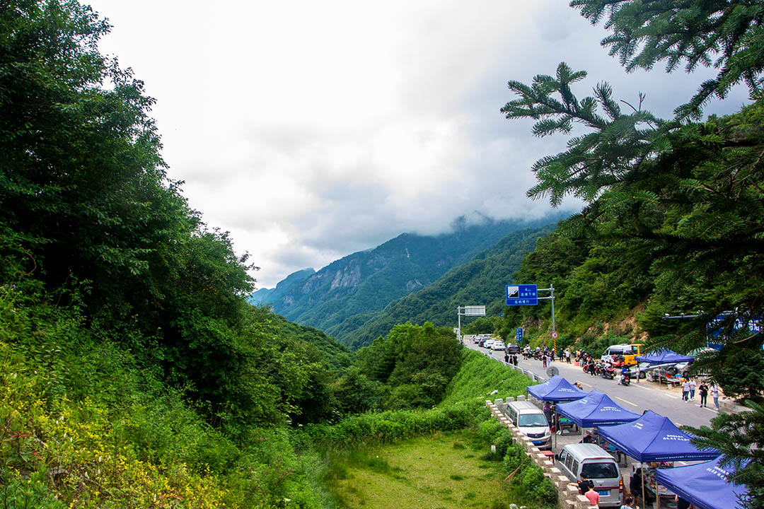 DSC_2913副本.jpg