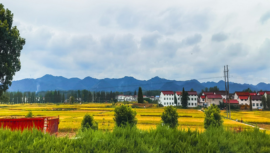 IMG_20210829_120107副.jpg