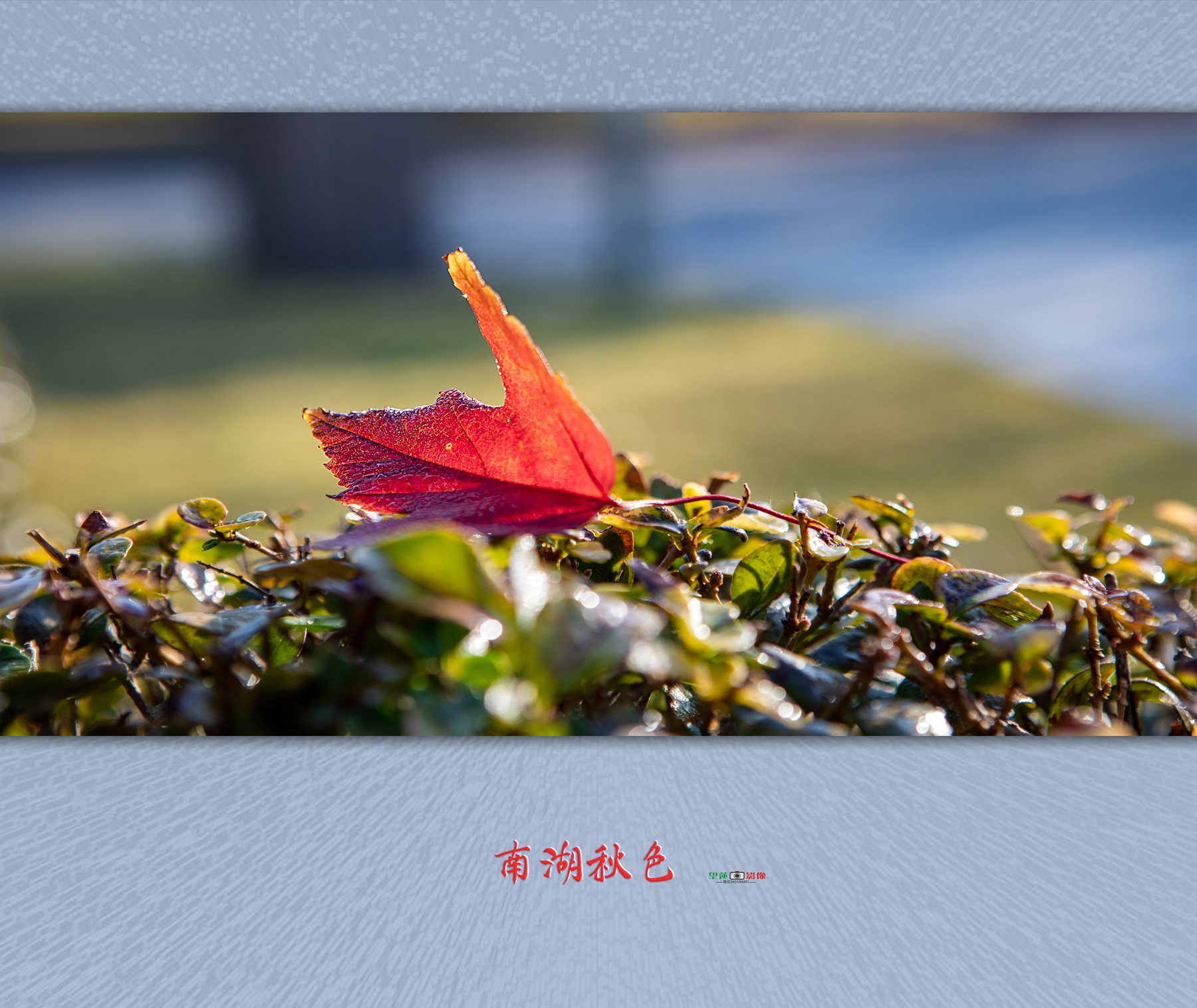 南湖秋色17.jpg