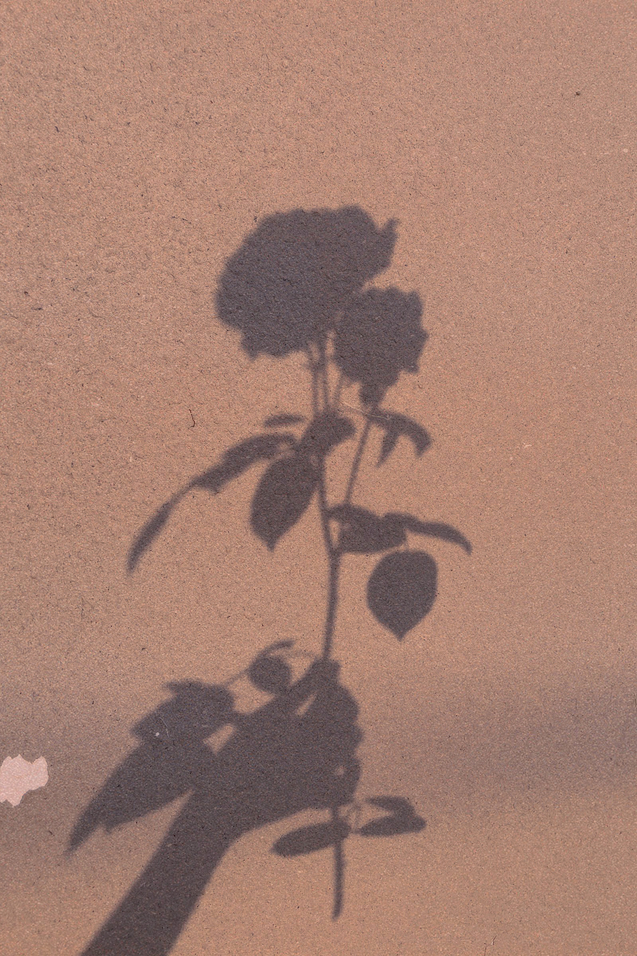 015cc861c01faf11013e8cd0e90ca0.jpg@1280w_1l_2o_100sh.jpg