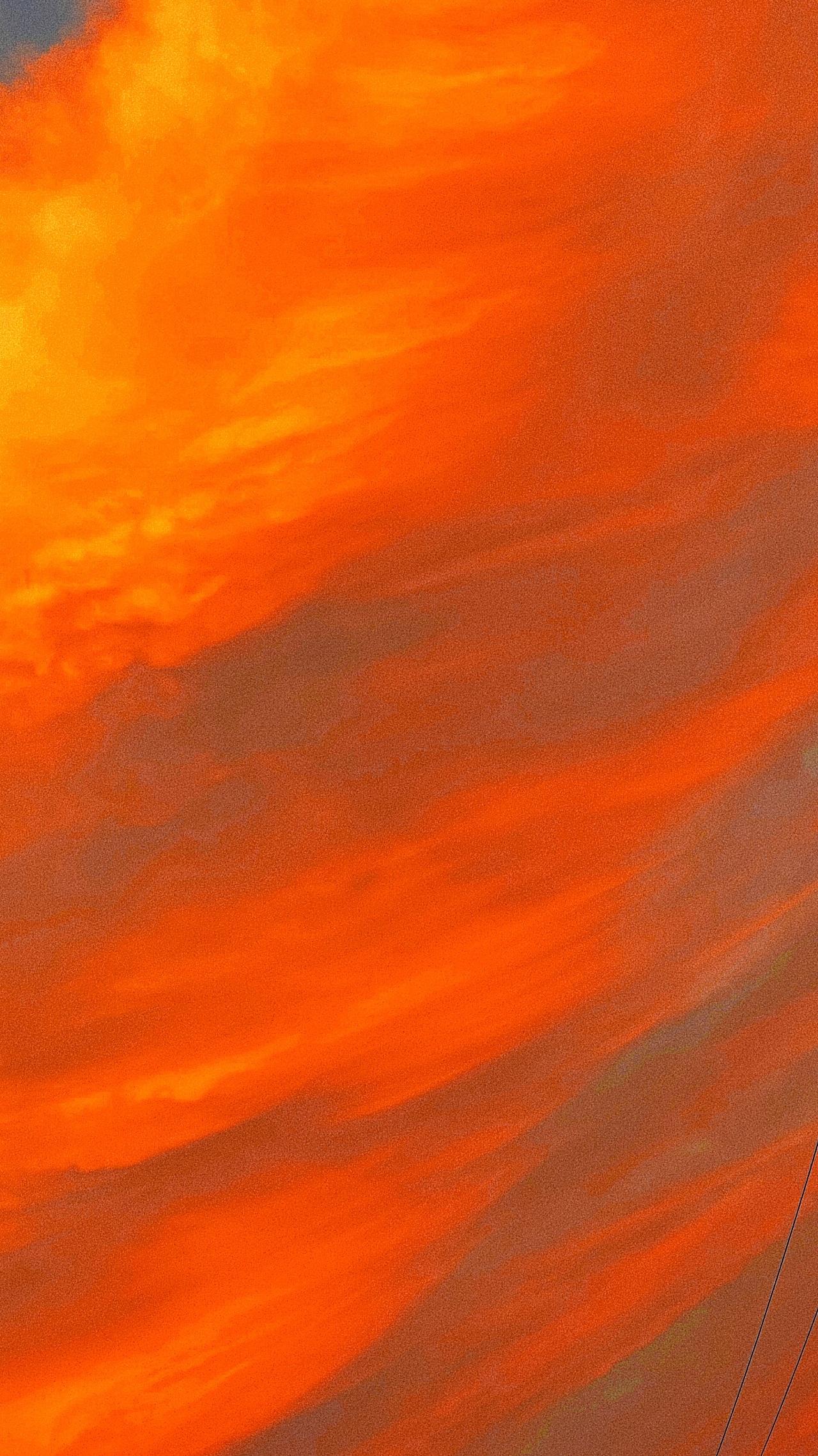 01838e61c01fc111013e8cd05c048a.jpg@1280w_1l_2o_100sh.jpg