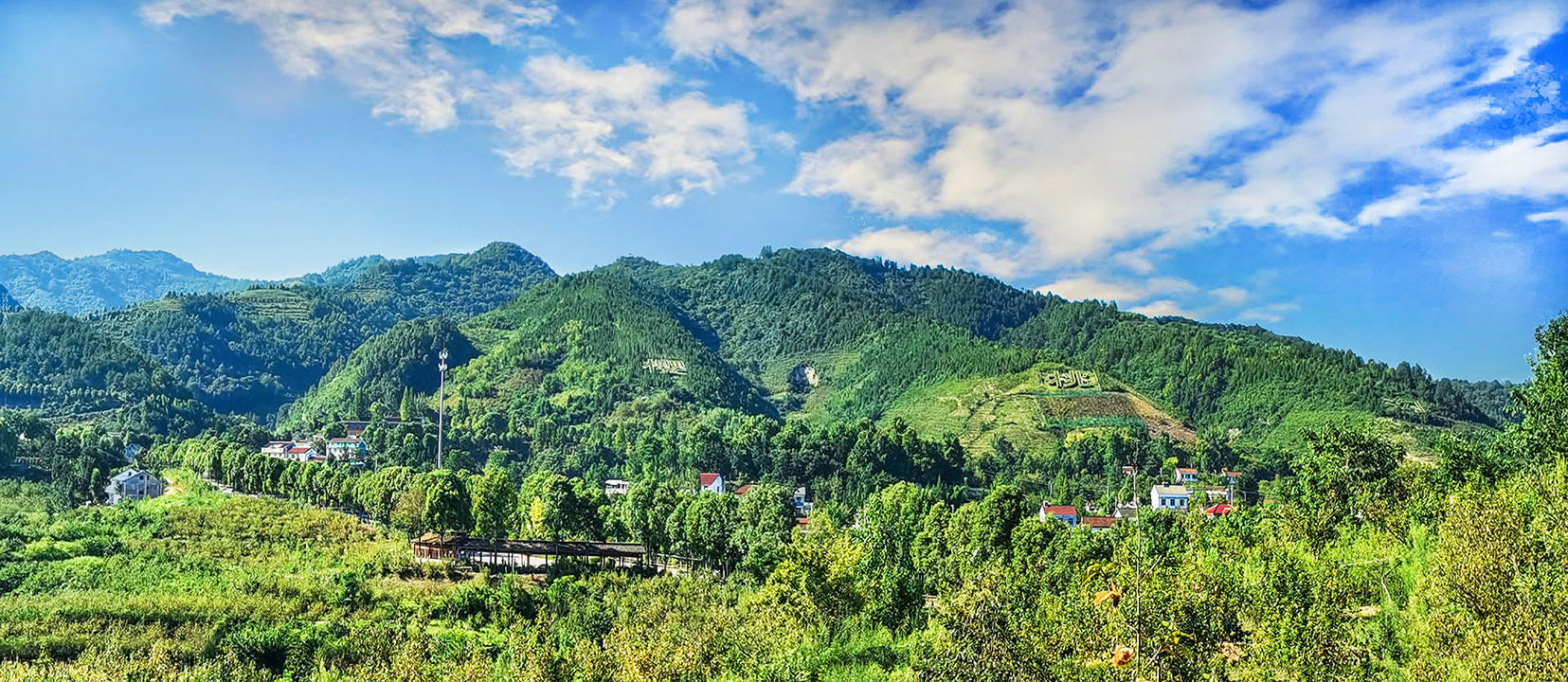 樱桃沟1已发.jpg