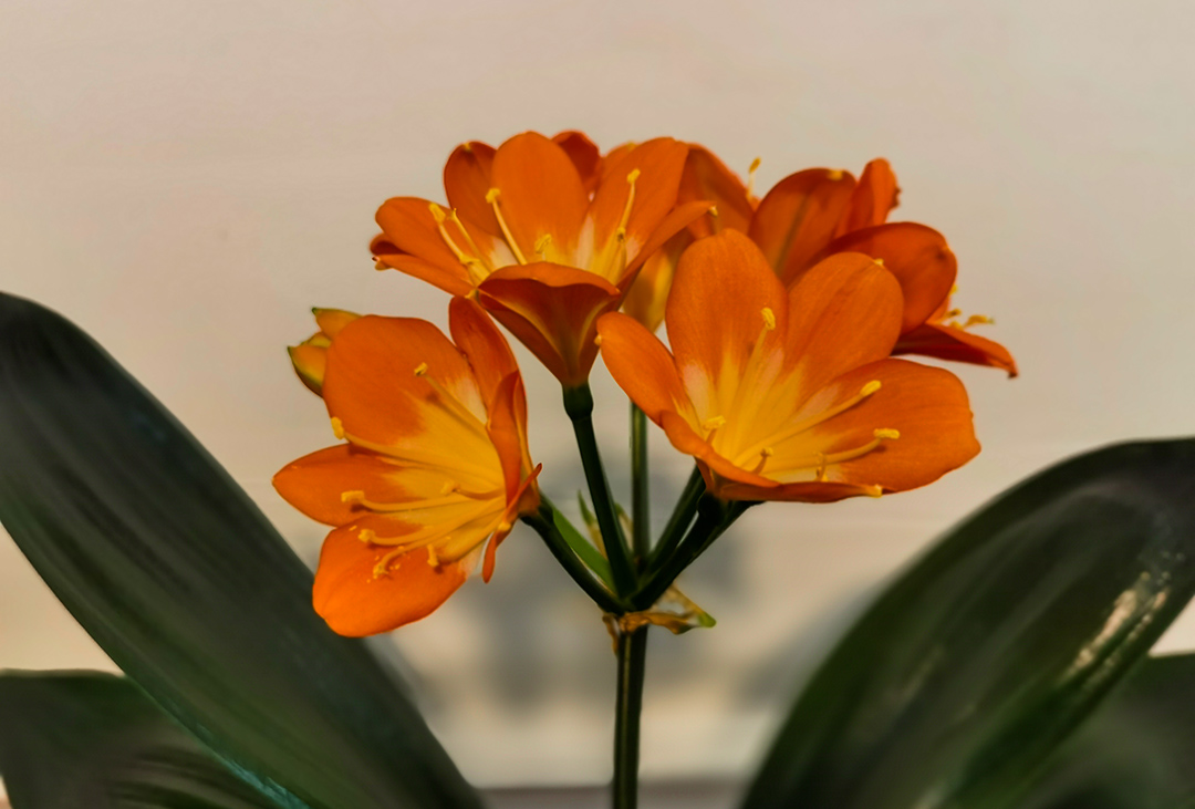 IMG_20240229_152116副本.jpg