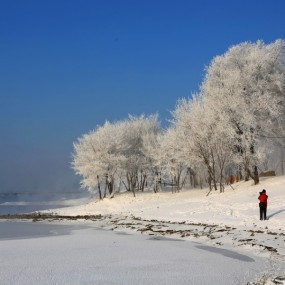 雪域雾凇