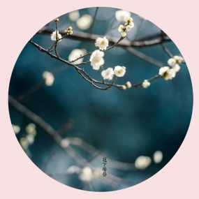 花下等你
