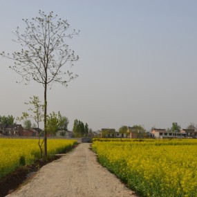 学习发帖