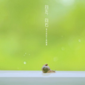 向左，向右