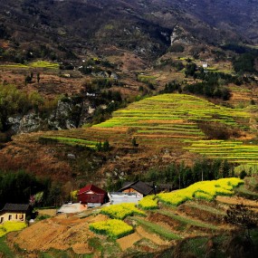 凤堰梯田