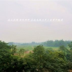 2011 年夏