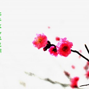 春到大明宫