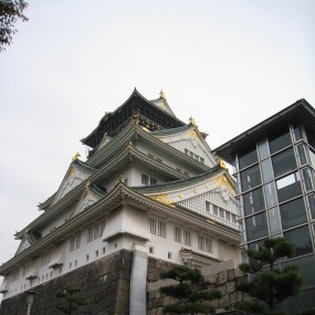 日本随手拍