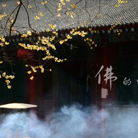 佛的缘分