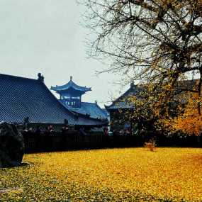 观音禅寺