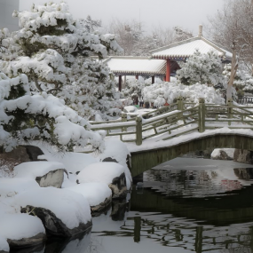 唐苑~雪