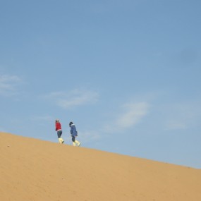 沙湖