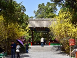黃帝陵