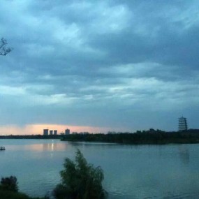景