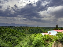 秦岭北麓初夏