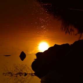 夕照渭河